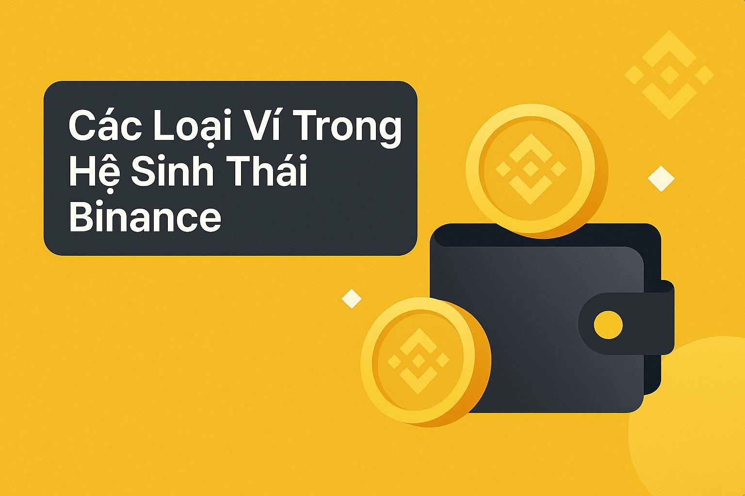 Các loại ví trong hệ sinh thái Binance